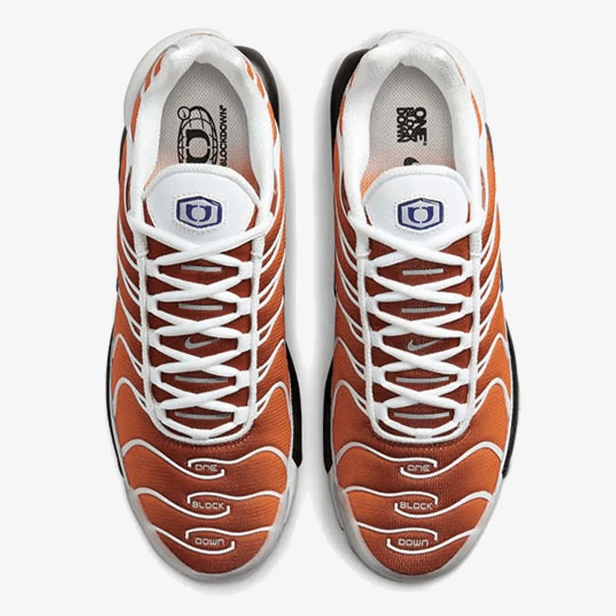 Nike Air Max TN (One Block Down Chutney)
