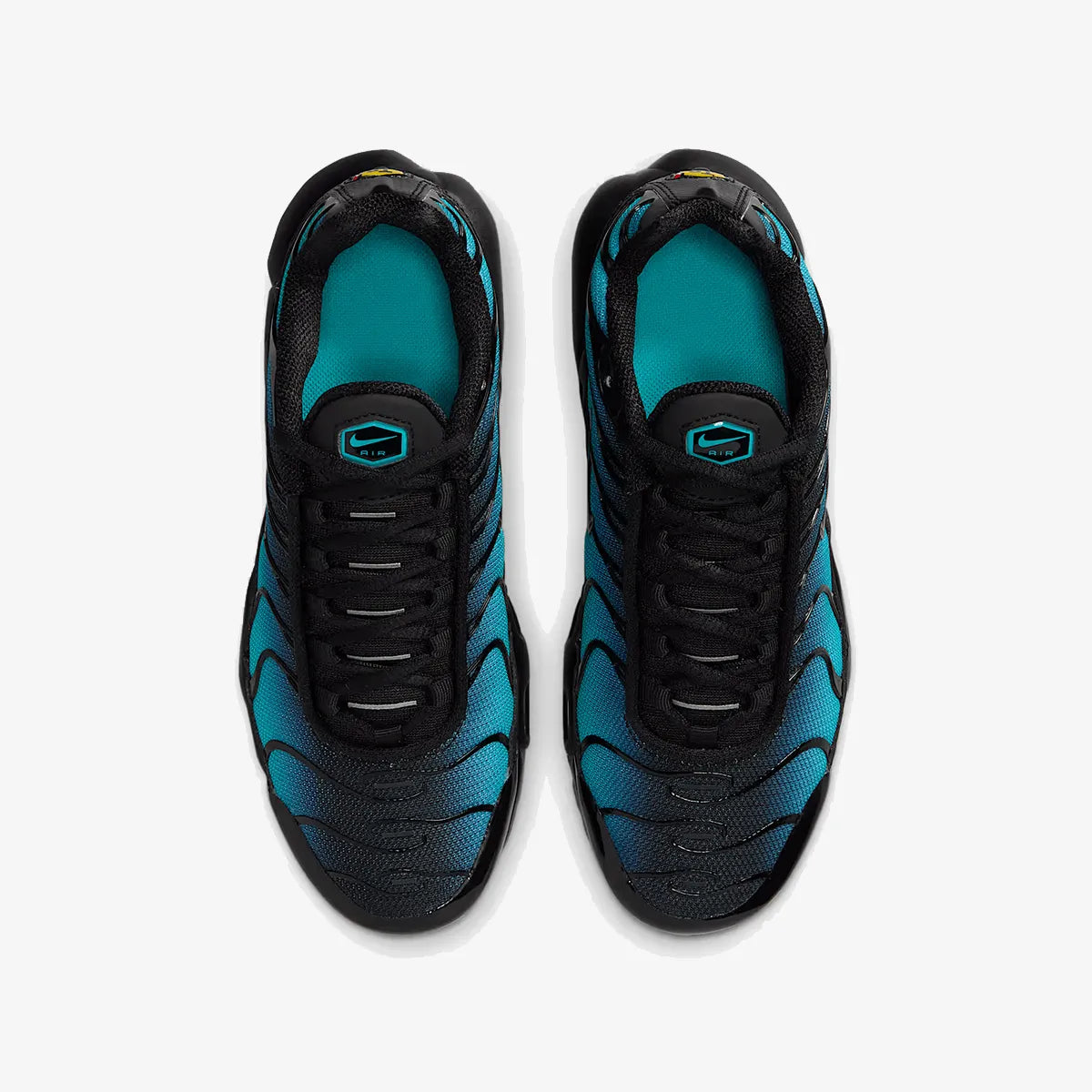 Nike Air Max TN (Black-Dusty)