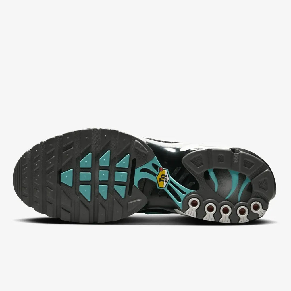 Nike Air Max TN Plus Coy (Mercurial Vapor)